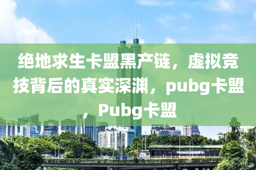 绝地求生卡盟黑产链，虚拟竞技背后的真实深渊，pubg卡盟，Pubg卡盟