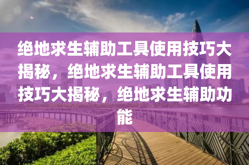 绝地求生辅助工具使用技巧大揭秘，绝地求生辅助工具使用技巧大揭秘，绝地求生辅助功能