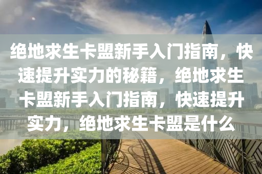 绝地求生卡盟新手入门指南，快速提升实力的秘籍，绝地求生卡盟新手入门指南，快速提升实力，绝地求生卡盟是什么
