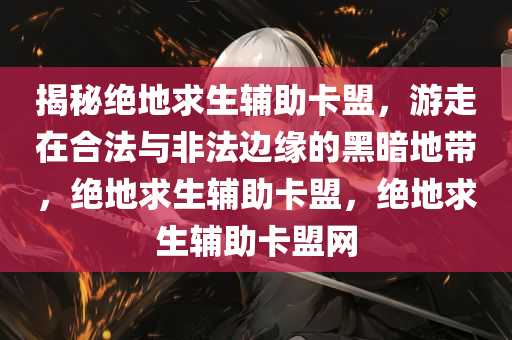 揭秘绝地求生辅助卡盟，游走在合法与非法边缘的黑暗地带，绝地求生辅助卡盟，绝地求生辅助卡盟网