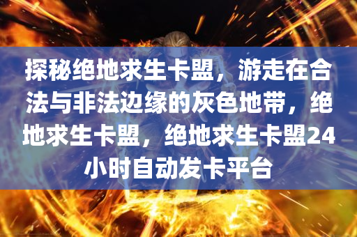 探秘绝地求生卡盟，游走在合法与非法边缘的灰色地带，绝地求生卡盟，绝地求生卡盟24小时自动发卡平台