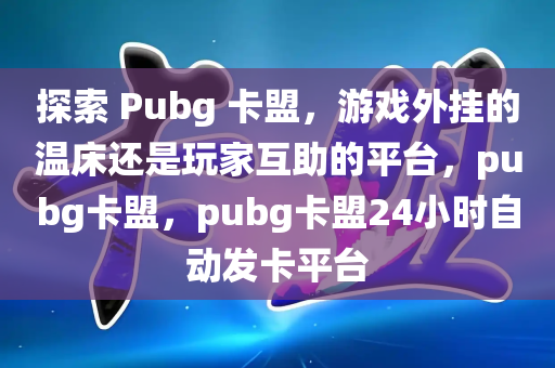 探索 Pubg 卡盟，游戏外挂的温床还是玩家互助的平台，pubg卡盟，pubg卡盟24小时自动发卡平台