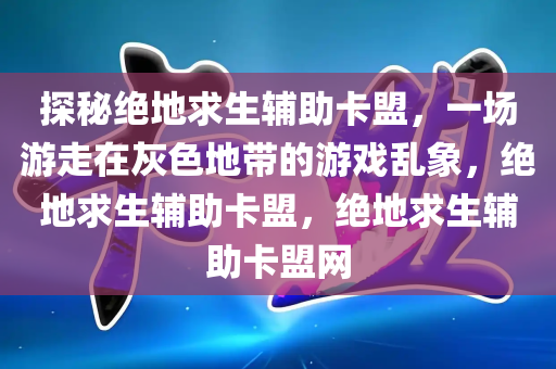 探秘绝地求生辅助卡盟，一场游走在灰色地带的游戏乱象，绝地求生辅助卡盟，绝地求生辅助卡盟网