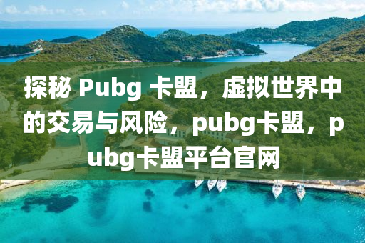 探秘 Pubg 卡盟，虚拟世界中的交易与风险，pubg卡盟，pubg卡盟平台官网