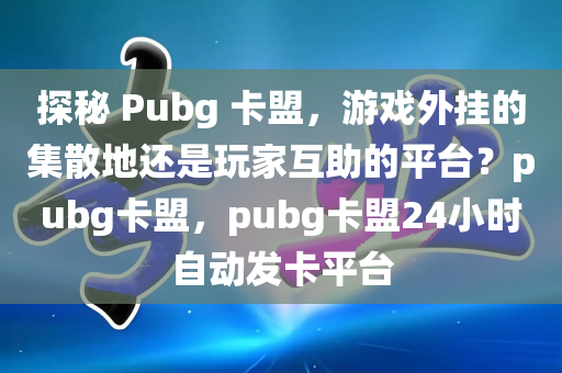 探秘 Pubg 卡盟，游戏外挂的集散地还是玩家互助的平台？pubg卡盟，pubg卡盟24小时自动发卡平台