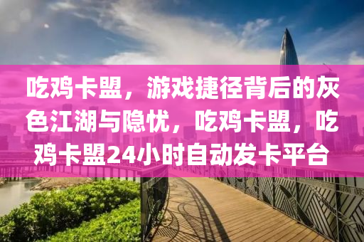 吃鸡卡盟，游戏捷径背后的灰色江湖与隐忧，吃鸡卡盟，吃鸡卡盟24小时自动发卡平台