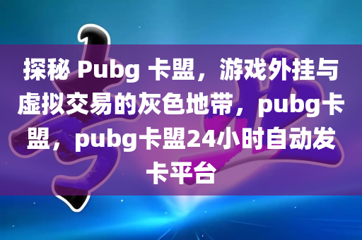 探秘 Pubg 卡盟，游戏外挂与虚拟交易的灰色地带，pubg卡盟，pubg卡盟24小时自动发卡平台