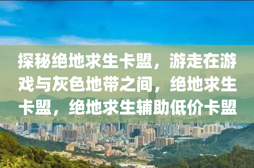 探秘绝地求生卡盟，游走在游戏与灰色地带之间，绝地求生卡盟，绝地求生辅助低价卡盟