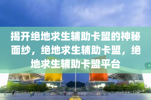 揭开绝地求生辅助卡盟的神秘面纱，绝地求生辅助卡盟，绝地求生辅助卡盟平台