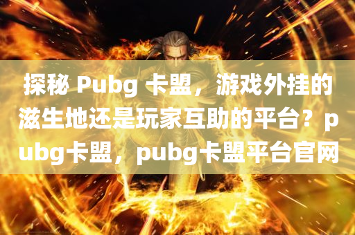 探秘 Pubg 卡盟，游戏外挂的滋生地还是玩家互助的平台？pubg卡盟，pubg卡盟平台官网