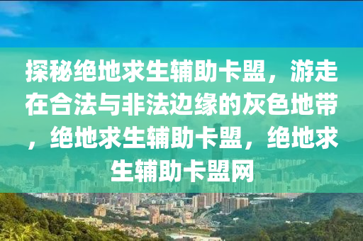 探秘绝地求生辅助卡盟，游走在合法与非法边缘的灰色地带，绝地求生辅助卡盟，绝地求生辅助卡盟网