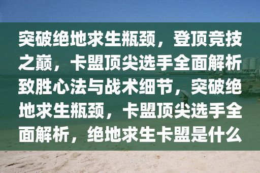 突破绝地求生瓶颈，登顶竞技之巅，卡盟顶尖选手全面解析致胜心法与战术细节，突破绝地求生瓶颈，卡盟顶尖选手全面解析，绝地求生卡盟是什么