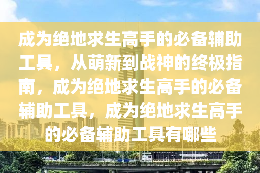 成为绝地求生高手的必备辅助工具，从萌新到战神的终极指南，成为绝地求生高手的必备辅助工具，成为绝地求生高手的必备辅助工具有哪些