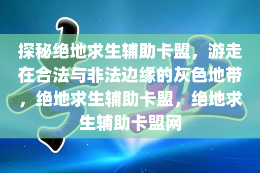 探秘绝地求生辅助卡盟，游走在合法与非法边缘的灰色地带，绝地求生辅助卡盟，绝地求生辅助卡盟网