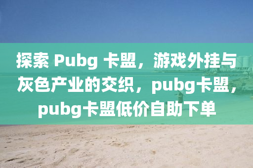 探索 Pubg 卡盟，游戏外挂与灰色产业的交织，pubg卡盟，pubg卡盟低价自助下单