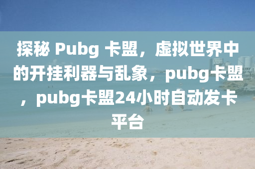 探秘 Pubg 卡盟，虚拟世界中的开挂利器与乱象，pubg卡盟，pubg卡盟24小时自动发卡平台