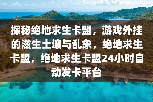 探秘绝地求生卡盟，游戏外挂的滋生土壤与乱象，绝地求生卡盟，绝地求生卡盟24小时自动发卡平台