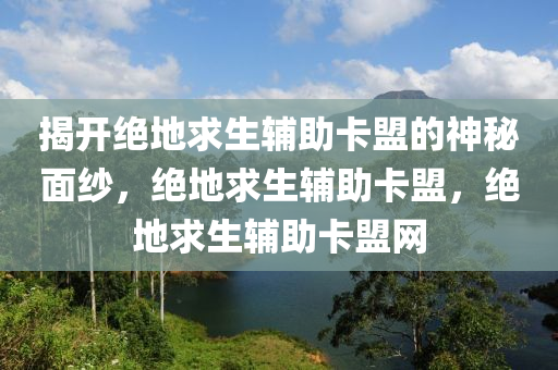 揭开绝地求生辅助卡盟的神秘面纱，绝地求生辅助卡盟，绝地求生辅助卡盟网