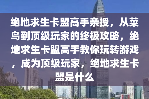 绝地求生卡盟高手亲授，从菜鸟到顶级玩家的终极攻略，绝地求生卡盟高手教你玩转游戏，成为顶级玩家，绝地求生卡盟是什么