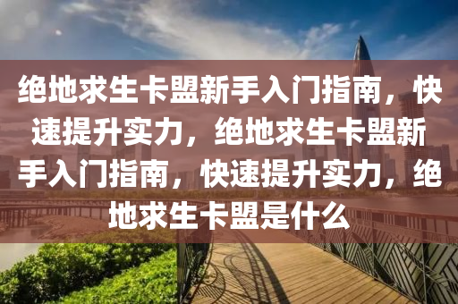 绝地求生卡盟新手入门指南，快速提升实力，绝地求生卡盟新手入门指南，快速提升实力，绝地求生卡盟是什么