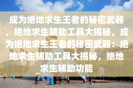 成为绝地求生王者的秘密武器，绝地求生辅助工具大揭秘，成为绝地求生王者的秘密武器：绝地求生辅助工具大揭秘，绝地求生辅助功能