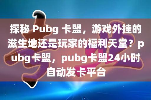 探秘 Pubg 卡盟，游戏外挂的滋生地还是玩家的福利天堂？pubg卡盟，pubg卡盟24小时自动发卡平台