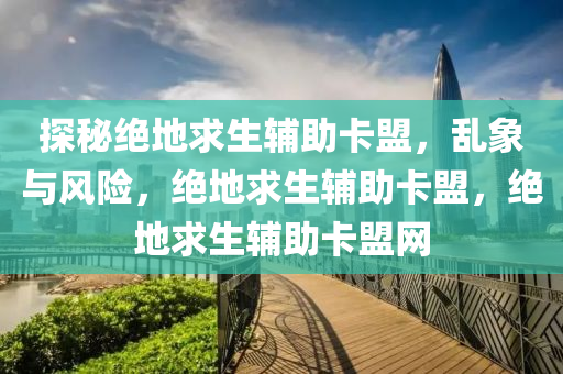 探秘绝地求生辅助卡盟，乱象与风险，绝地求生辅助卡盟，绝地求生辅助卡盟网