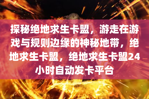 探秘绝地求生卡盟，游走在游戏与规则边缘的神秘地带，绝地求生卡盟，绝地求生卡盟24小时自动发卡平台