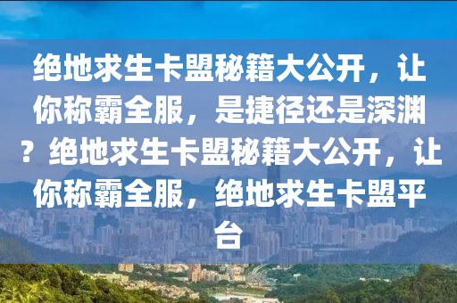 绝地求生卡盟秘籍大公开，让你称霸全服，是捷径还是深渊？绝地求生卡盟秘籍大公开，让你称霸全服，绝地求生卡盟平台