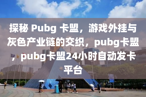 探秘 Pubg 卡盟，游戏外挂与灰色产业链的交织，pubg卡盟，pubg卡盟24小时自动发卡平台
