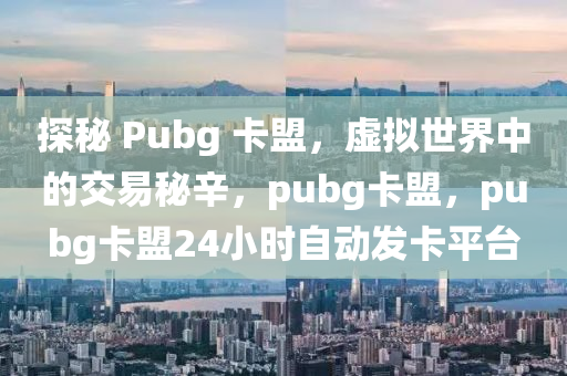 探秘 Pubg 卡盟，虚拟世界中的交易秘辛，pubg卡盟，pubg卡盟24小时自动发卡平台