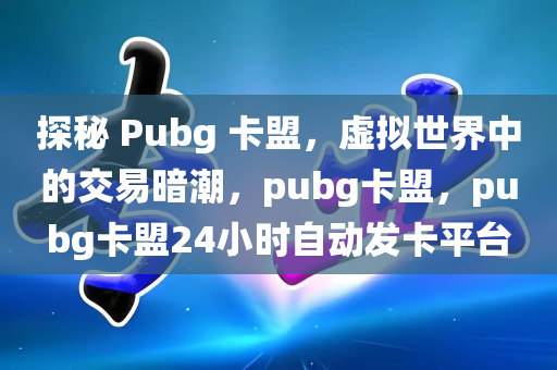 探秘 Pubg 卡盟，虚拟世界中的交易暗潮，pubg卡盟，pubg卡盟24小时自动发卡平台