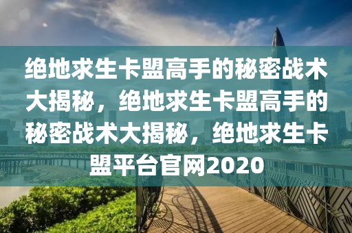 绝地求生卡盟高手的秘密战术大揭秘，绝地求生卡盟高手的秘密战术大揭秘，绝地求生卡盟平台官网2020