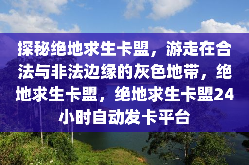 探秘绝地求生卡盟，游走在合法与非法边缘的灰色地带，绝地求生卡盟，绝地求生卡盟24小时自动发卡平台