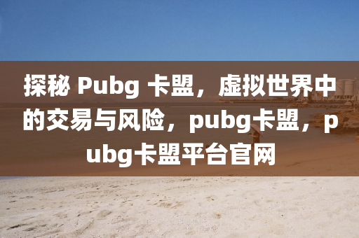 探秘 Pubg 卡盟，虚拟世界中的交易与风险，pubg卡盟，pubg卡盟平台官网