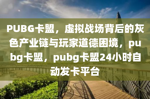 PUBG卡盟，虚拟战场背后的灰色产业链与玩家道德困境，pubg卡盟，pubg卡盟24小时自动发卡平台