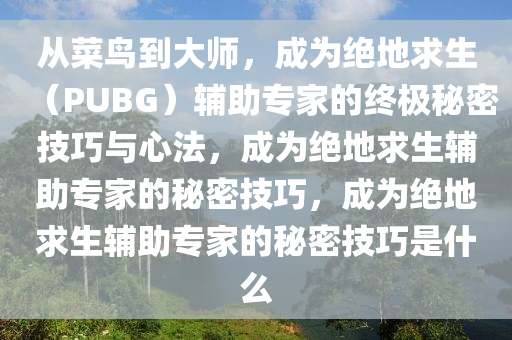 从菜鸟到大师，成为绝地求生（PUBG）辅助专家的终极秘密技巧与心法，成为绝地求生辅助专家的秘密技巧，成为绝地求生辅助专家的秘密技巧是什么