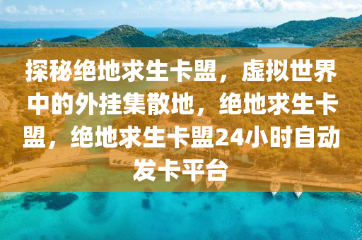 探秘绝地求生卡盟，虚拟世界中的外挂集散地，绝地求生卡盟，绝地求生卡盟24小时自动发卡平台