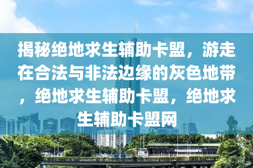 揭秘绝地求生辅助卡盟，游走在合法与非法边缘的灰色地带，绝地求生辅助卡盟，绝地求生辅助卡盟网