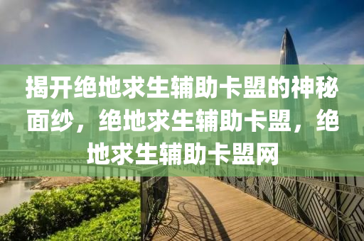 揭开绝地求生辅助卡盟的神秘面纱，绝地求生辅助卡盟，绝地求生辅助卡盟网