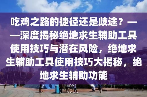 吃鸡之路的捷径还是歧途？——深度揭秘绝地求生辅助工具使用技巧与潜在风险，绝地求生辅助工具使用技巧大揭秘，绝地求生辅助功能