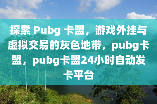 探索 Pubg 卡盟，游戏外挂与虚拟交易的灰色地带，pubg卡盟，pubg卡盟24小时自动发卡平台