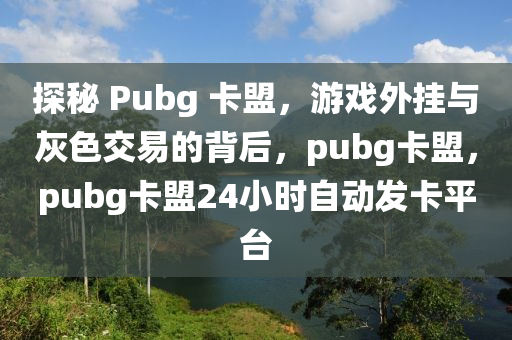 探秘 Pubg 卡盟，游戏外挂与灰色交易的背后，pubg卡盟，pubg卡盟24小时自动发卡平台