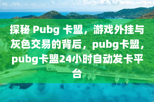 探秘 Pubg 卡盟，游戏外挂与灰色交易的背后，pubg卡盟，pubg卡盟24小时自动发卡平台