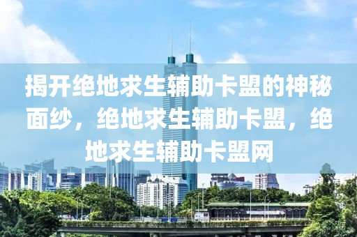 揭开绝地求生辅助卡盟的神秘面纱，绝地求生辅助卡盟，绝地求生辅助卡盟网