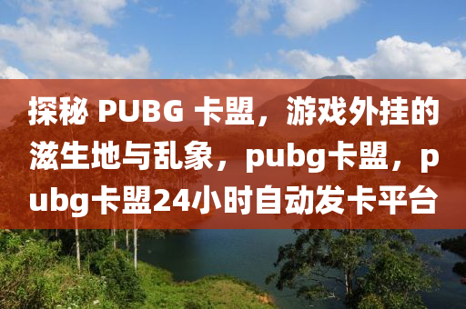 探秘 PUBG 卡盟，游戏外挂的滋生地与乱象，pubg卡盟，pubg卡盟24小时自动发卡平台