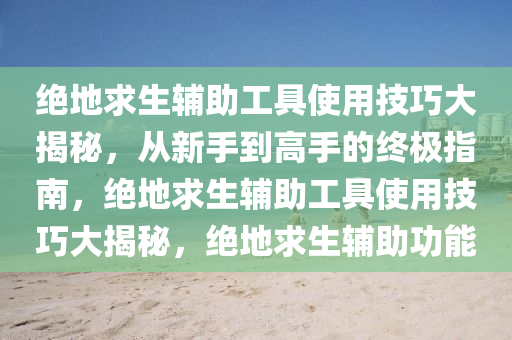 绝地求生辅助工具使用技巧大揭秘，从新手到高手的终极指南，绝地求生辅助工具使用技巧大揭秘，绝地求生辅助功能