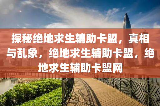 探秘绝地求生辅助卡盟，真相与乱象，绝地求生辅助卡盟，绝地求生辅助卡盟网