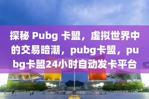 探秘 Pubg 卡盟，虚拟世界中的交易暗潮，pubg卡盟，pubg卡盟24小时自动发卡平台