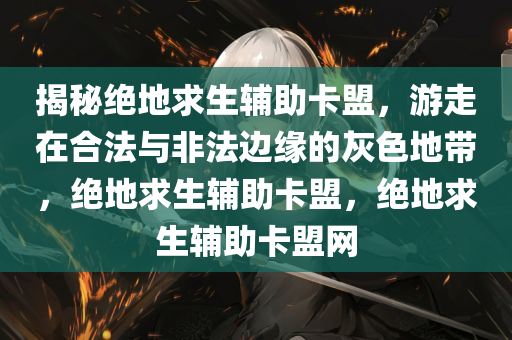 揭秘绝地求生辅助卡盟，游走在合法与非法边缘的灰色地带，绝地求生辅助卡盟，绝地求生辅助卡盟网